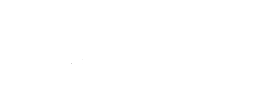 Tempo Leisure logo